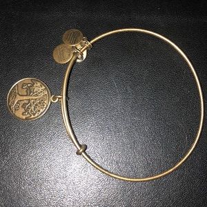 Alex and Ani TREE OF LIFE bangle